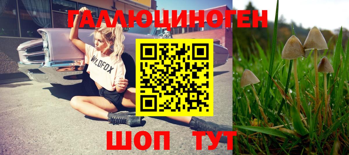 Псилоцибиновые грибы прущие грибы Котлас