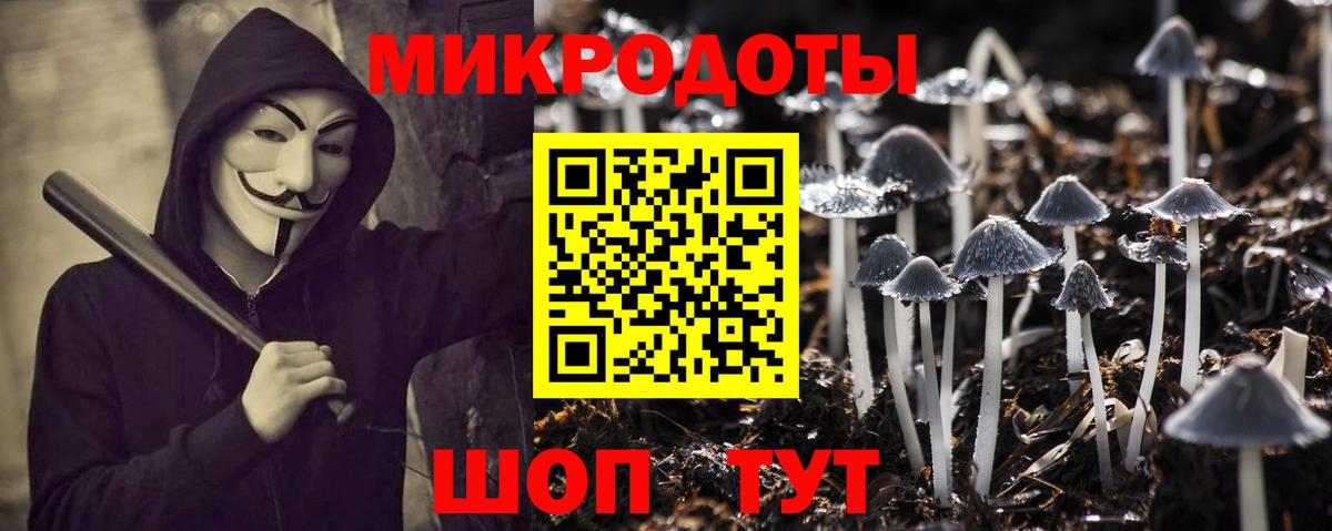Котлас  Псилоцибиновые грибы ЛСД  Вход с VPN 